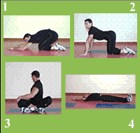 Gráfico de ejercicio Stretch (Back, lumbar, side, oblicuum...)